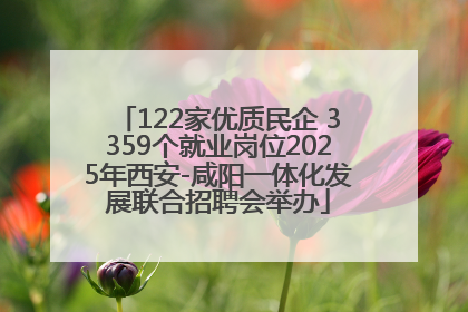 122家优质民企 3359个就业岗位2025年西安-咸阳一体化发展联合招聘会举办
