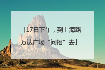 17日下午，到上海路万达广场“问招”去