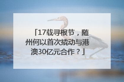 17载寻根节，随州何以首次撬动与港澳30亿元合作？