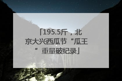 195.5斤，北京大兴西瓜节“瓜王”重量破纪录