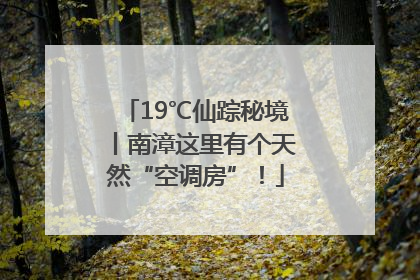 19℃仙踪秘境丨南漳这里有个天然“空调房”！