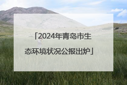 2024年青岛市生态环境状况公报出炉