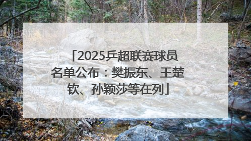 2025乒超联赛球员名单公布：樊振东、王楚钦、孙颖莎等在列