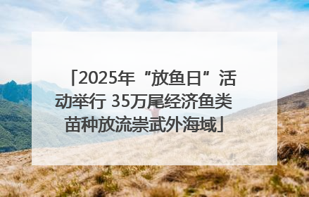 2025年“放鱼日”活动举行 35万尾经济鱼类苗种放流崇武外海域