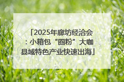 2025年廊坊经洽会：小箱包“圈粉”大咖 县域特色产业快速出海