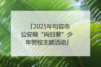 2025年句容市公安局“向日葵”少年警校主题活动