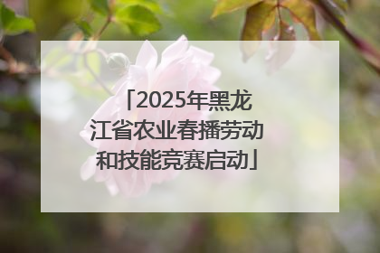 2025年黑龙江省农业春播劳动和技能竞赛启动