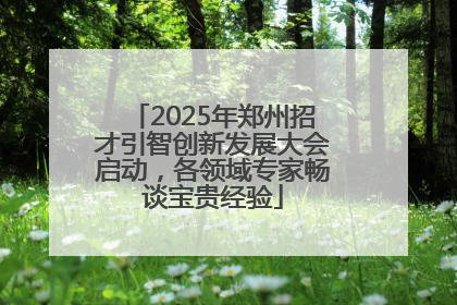 2025年郑州招才引智创新发展大会启动，各领域专家畅谈宝贵经验