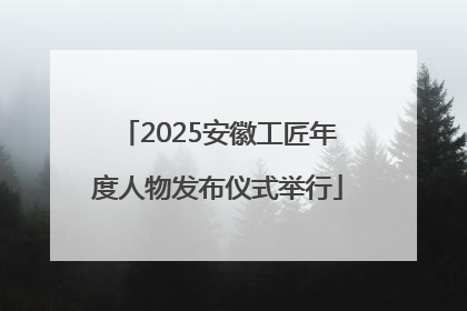2025安徽工匠年度人物发布仪式举行