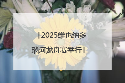 2025维也纳多瑙河龙舟赛举行