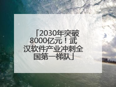 2030年突破8000亿元！武汉软件产业冲刺全国第一梯队
