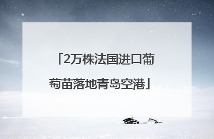 2万株法国进口葡萄苗落地青岛空港