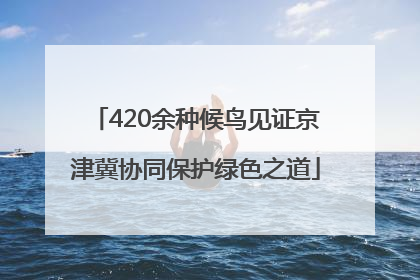 420余种候鸟见证京津冀协同保护绿色之道