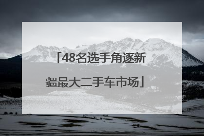 48名选手角逐新疆最大二手车市场
