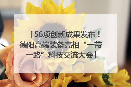 56项创新成果发布！德阳高端装备亮相“一带一路”科技交流大会