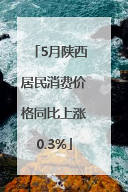 5月陕西居民消费价格同比上涨0.3%
