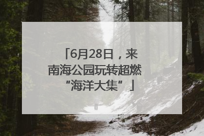 6月28日，来南海公园玩转超燃 “海洋大集”