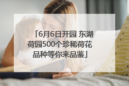 6月6日开园 东湖荷园500个珍稀荷花品种等你来品鉴