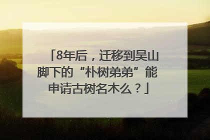 8年后，迁移到吴山脚下的“朴树弟弟”能申请古树名木么？
