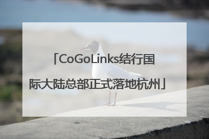 CoGoLinks结行国际大陆总部正式落地杭州