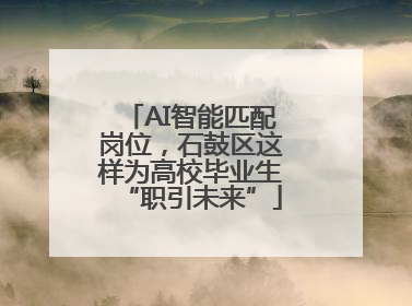 AI智能匹配岗位，石鼓区这样为高校毕业生“职引未来”