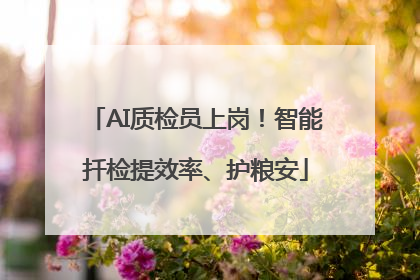 AI质检员上岗！智能扦检提效率、护粮安