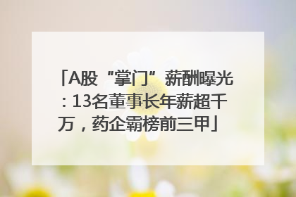 A股“掌门”薪酬曝光：13名董事长年薪超千万，药企霸榜前三甲